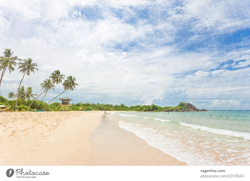 Sri Lanka - Weitsicht am Strand von Balapitiya Asien Bucht Schalter Küste verträumt Exklusivität Exquisit fein Fußspur erleuchten Landschaft Blatt Natur Meer