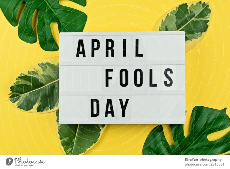 Aprilscherztag und tropische Blätter auf Gelb Freude Glück Entertainment Feste & Feiern Blatt lachen lustig gelb grün Stimmung Unsinn Witz Entwurf Humor