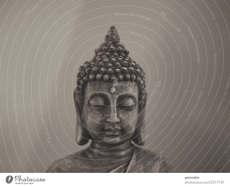 lebensart | go east! Ferne Skulptur Kultur ästhetisch Zufriedenheit Ferien & Urlaub & Reisen Religion & Glaube Hinduismus Buddha Statue Meditation Lifestyle
