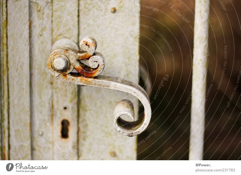 S Tor Tür Metall Schloss alt weiß Schlüsselloch Griff Rost Eisen aufmachen grau Stab geschwungen geschlossen Türöffner Farbfoto Außenaufnahme Nahaufnahme