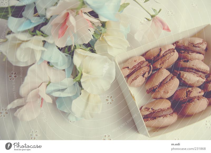 Fleurs et macarons II Dessert Süßwaren Schokolade Verpackung Schachtel Kunstblume Kitsch Farbfoto Innenaufnahme Licht Backwaren Keks lecker Appetit & Hunger