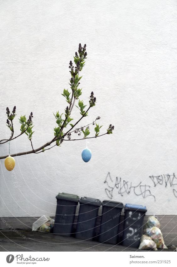cityeaster impression Haus Mauer Wand Fassade Ostern Baum Ei Osterei Müll Müllbehälter Hinterhof Graffiti geschmückt Farbfoto mehrfarbig Außenaufnahme Tag