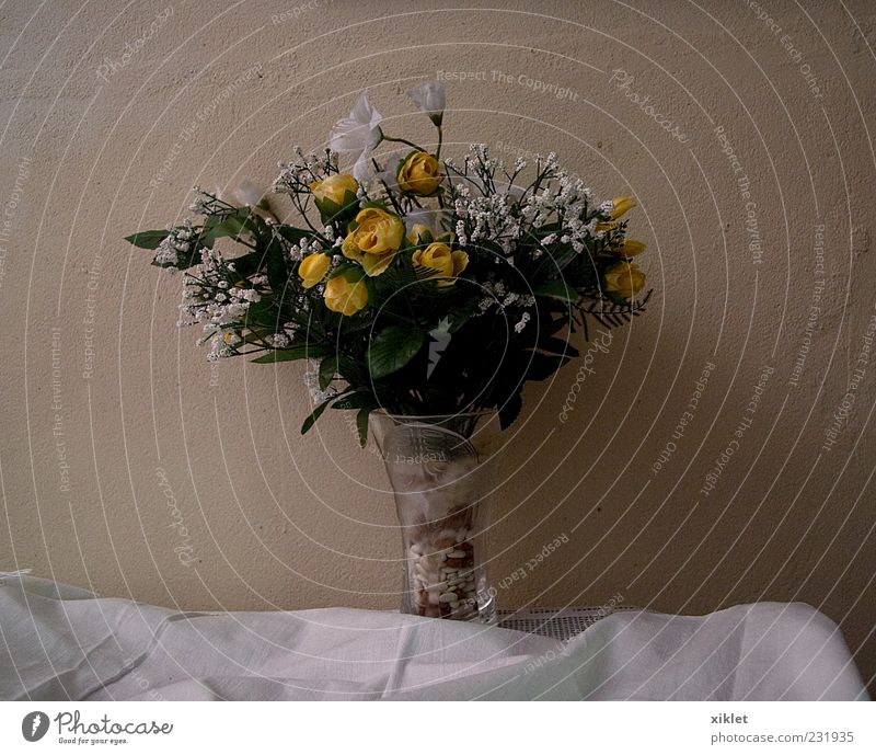 Blumen gelb Haus Wand weiß Glaskrug Dekoration & Verzierung Freude Zärtlichkeit Ordnung geblümt Kunststoff künstlich Stoff Handtuch Wandel & Veränderung Farbe