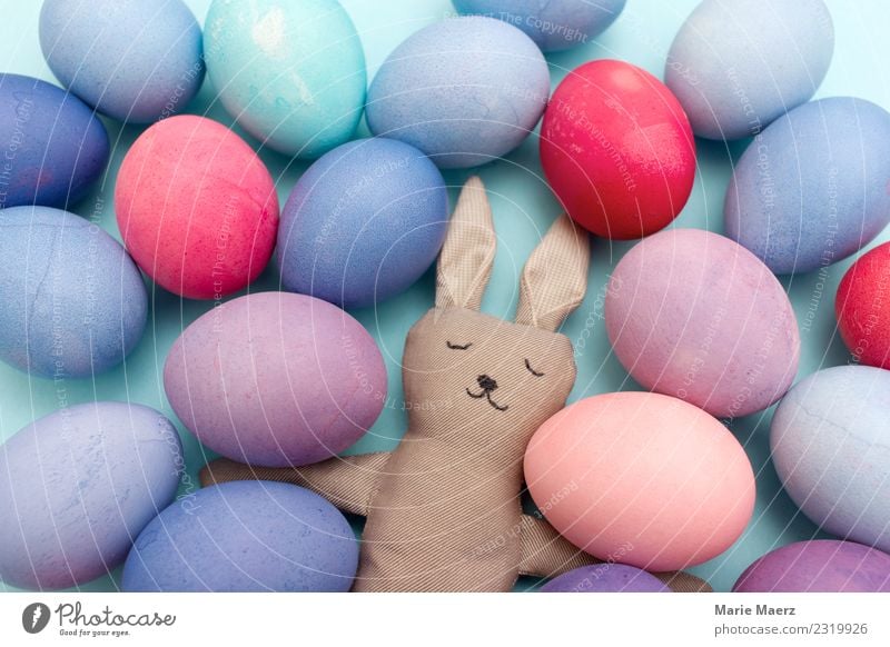 Müder Osterhase mit vielen bunten Eiern Freude Ostern Hase & Kaninchen Arbeit & Erwerbstätigkeit Essen Feste & Feiern schlafen außergewöhnlich lustig niedlich