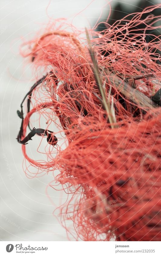 wirrwarr Umwelt Natur Holz Kunststoff dreckig rot chaotisch Ordnung Umweltverschmutzung durcheinander verwickelt Schnur Strandgut Fundstück Müll Knoten