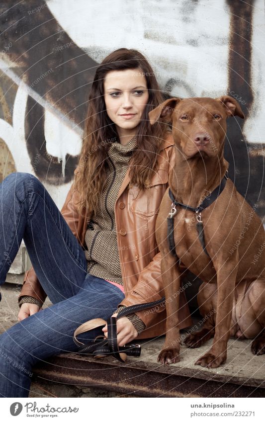 frau mit hund Junge Frau Jugendliche Erwachsene 1 Mensch 18-30 Jahre Jeanshose Jacke brünett langhaarig Tier Haustier Hund beobachten festhalten sitzen warten