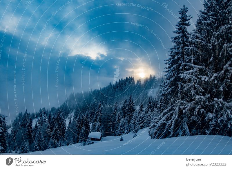 Winterlandschaft Natur Landschaft Pflanze Wolken Eis Frost Schnee Baum Alpen Berge u. Gebirge ästhetisch blau schwarz ruhig kalt Umwelt Fichte Wald Hütte