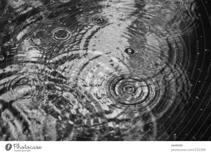 ein verregneter Tag Natur Wetter schlechtes Wetter Regen Teich See Wasser bedrohlich kalt einzigartig Symmetrie Wassertropfen Kreis Reflexion & Spiegelung