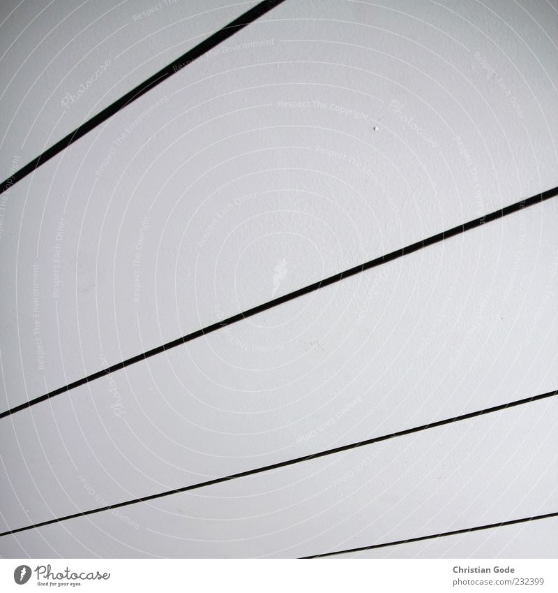 Streifen Holz weiß schwarz Decke Linie Verlauf diagonal Bahn trist Innenaufnahme Menschenleer Kunstlicht Starke Tiefenschärfe Froschperspektive Textfreiraum