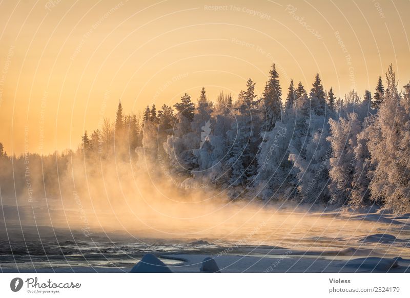 -28° III Finnland Schnee Schneefall Eis gefroren Rovaniemi Nebel Sonnenuntergang orange Wald Tanne weiß Fluss kalt Winter