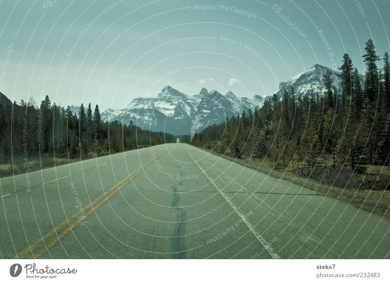 Fernstraße Wolkenloser Himmel Horizont Berge u. Gebirge Schneebedeckte Gipfel Straße fahren Beginn Einsamkeit Freiheit Ferne Kanada Icefield Parkway Fernweh