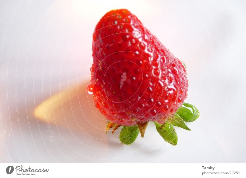 Erdbeere fruchtig rot Sommer süß Gesundheit Erdbeeren Frucht Schatten Makroaufnahme Ernährung