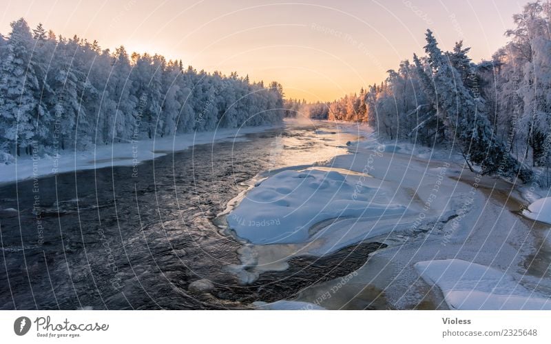 -28° II Finnland Schnee Schneefall Eis gefroren Rovaniemi Nebel Sonnenuntergang orange Wald Tanne weiß Fluss kalt Winter