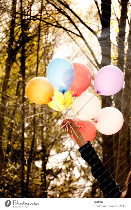Balloon Sommer Sonne Feste & Feiern Mensch Arme Hand 1 Umwelt Natur Sonnenlicht Frühling Schönes Wetter Baum Wald Dekoration & Verzierung Luftballon Bewegung
