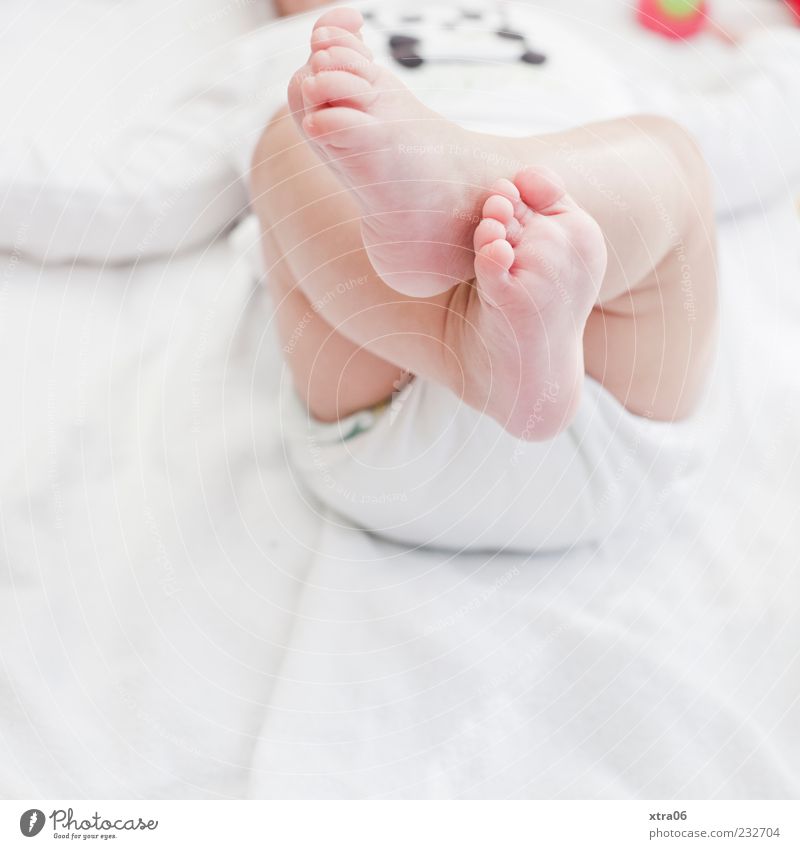 füße Mensch Baby Mädchen Beine Fuß 1 0-12 Monate niedlich Farbfoto Gedeckte Farben Innenaufnahme Textfreiraum unten zart rein weiß Liege Textfreiraum links
