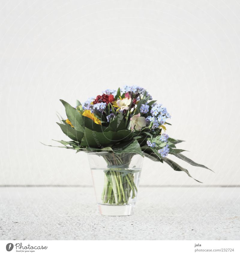 blumenstrauss Pflanze Blume Blumenstrauß Frühlingsgefühle Vase Farbfoto Außenaufnahme Menschenleer Textfreiraum links Textfreiraum rechts Textfreiraum oben