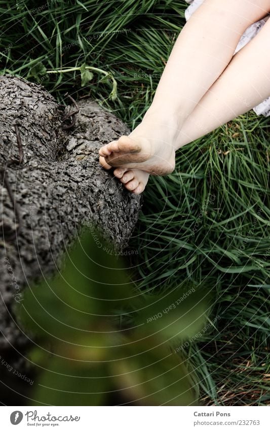 whateverism. Erholung ruhig Beine Fuß Natur Pflanze Sommer Baum Gras Blatt Holz liegen dünn grün Gelassenheit geduldig dreckig Zehen Füße hoch Barfuß Naturliebe