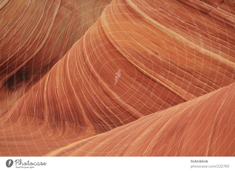 The Wave Natur Hügel Felsen Schlucht Wellen Coyote Buttes Arizona Stein Unendlichkeit trocken braun rot Bewegung Gesteinsformationen Sandstein Farbfoto