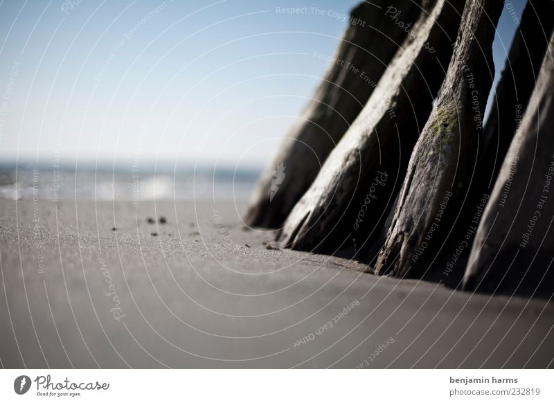tag am meer #5 Natur Landschaft Sand Holzpfahl Küste Strand Ostsee Meer ruhig Farbfoto Außenaufnahme Menschenleer Tag Schwache Tiefenschärfe Froschperspektive