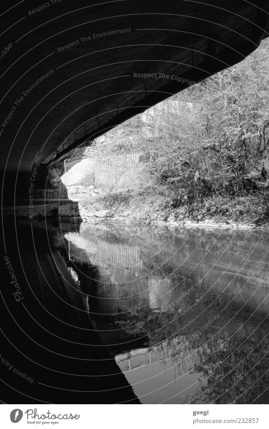 Am Fluss II Landschaft Wasser Pflanze Sträucher Brücke trist Schwarzweißfoto Außenaufnahme Menschenleer Reflexion & Spiegelung Flussufer Wasserspiegelung