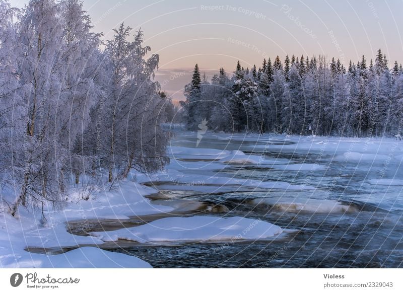 -28° II Umwelt Natur Landschaft Wasser Sonnenaufgang Sonnenuntergang Winter Schnee Schneefall Flussufer Ferien & Urlaub & Reisen Coolness kalt Rovaniemi