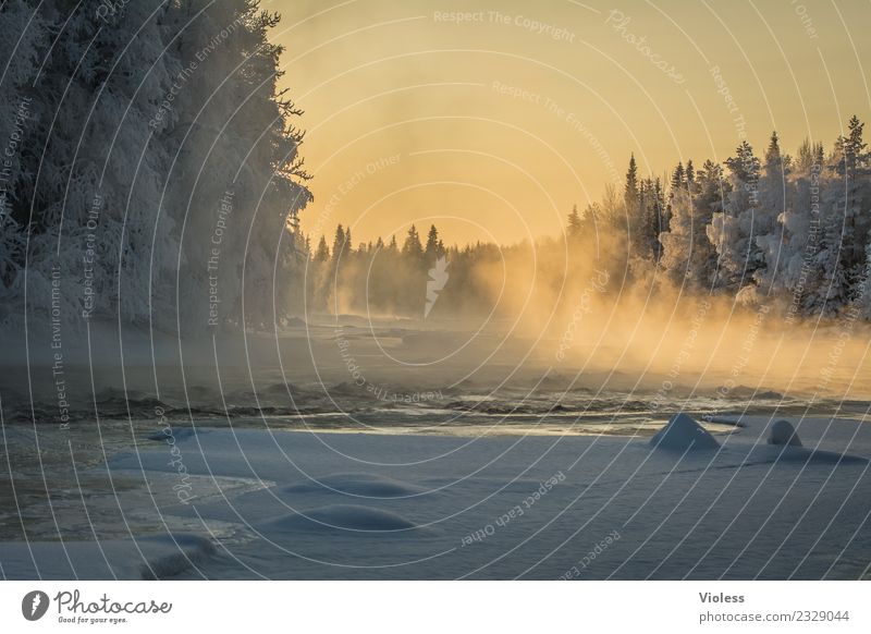 -28° Finnland Schnee Schneefall Eis gefroren Rovaniemi Nebel Sonnenuntergang orange Wald Tanne weiß Fluss kalt