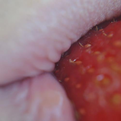 dein Erdbeermund Lebensmittel Frucht Erdbeeren Mund Lippen genießen lecker Farbfoto Außenaufnahme Detailaufnahme Tag Makroaufnahme Nahaufnahme Ernährung