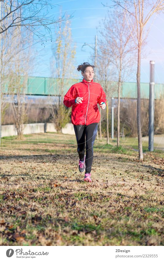 Läuferin beim Joggen im Park Lifestyle Freude Glück schön sportlich Fitness Leben Erholung Freizeit & Hobby Winter Sport Leichtathletik Sportler
