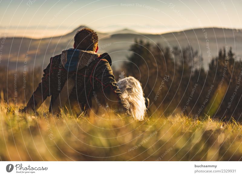Mann mit seinem Hund Ferne Berge u. Gebirge Freundschaft Natur Landschaft Wiese Fell schwarzhaarig sitzen Zusammensein klein weiß Alpenblick Mensch Mann Rücken