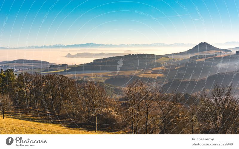 Hegau Landschaft Ferien & Urlaub & Reisen Natur Wetter Nebel Baum Wiese Feld Wald Alpen Vulkan wandern Ausblick Dunst Europa Himmel Lebensraum Panorama
