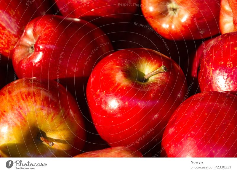 Frische gesunde leckere rote Bio Apfel sorten Lebensmittel Bioprodukte Vegetarische Ernährung authentisch einfach frisch sommerapfel süß gepunktet Stil reif