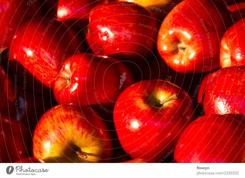 Apfelsammlung in rot und gruen Lebensmittel Frucht Ernährung Essen Bioprodukte Vegetarische Ernährung Diät Fasten Fastfood frisch Gesundheit gelb grün bioapfel