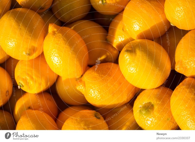 Frische Zitronen Lebensmittel Frucht Zitrusfrüchte Ernährung Bioprodukte Vegetarische Ernährung Diät frisch Gesundheit glänzend sauer mehrfarbig gelb gold