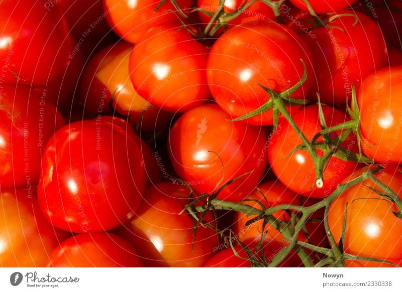 Gesunde Biotomaten Lebensmittel Gemüse Frucht Ernährung Essen Bioprodukte Vegetarische Ernährung Diät Fasten grün orange rot Gesundheit Tomate