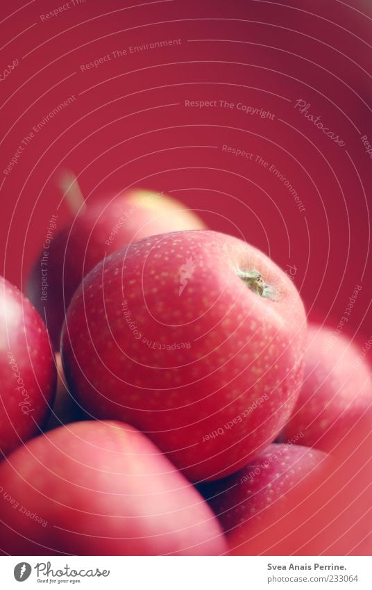 Apfel. Ernährung natürlich rot Diät Frucht Gesundheit saftig rund frisch Bioprodukte Vitamin vitaminreich Stengel lecker Appetit & Hunger Mahlzeit Farbfoto