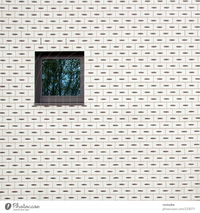 Ouverture Haus Bauwerk Gebäude Architektur Mauer Wand Fenster Stein Glas weiß Ordnung Farbfoto Gedeckte Farben Außenaufnahme Strukturen & Formen