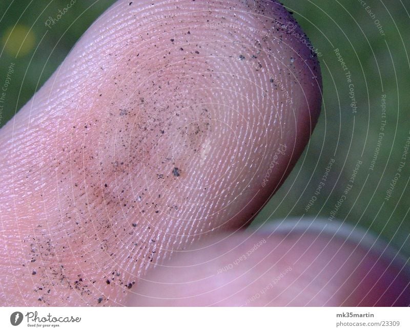 Finger Fingerabdruck Fingerkuppe Makroaufnahme Nahaufnahme Fingerspitze Schmutzteilchen