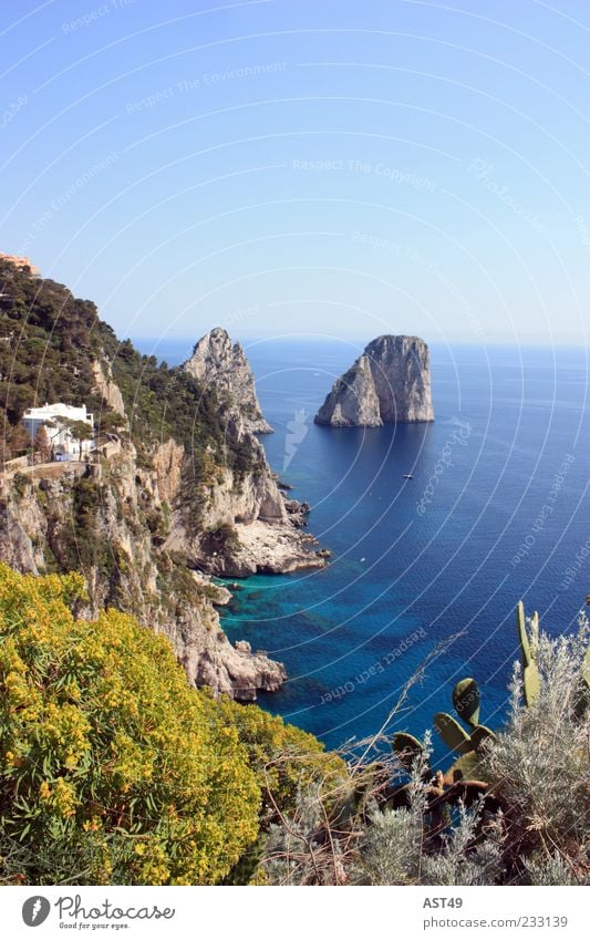 Capri mit Sonne ruhig Ferien & Urlaub & Reisen Ferne Sommer Sommerurlaub Meer Insel Berge u. Gebirge Felsen Küste Bucht Italien schön Erholung Horizont Natur