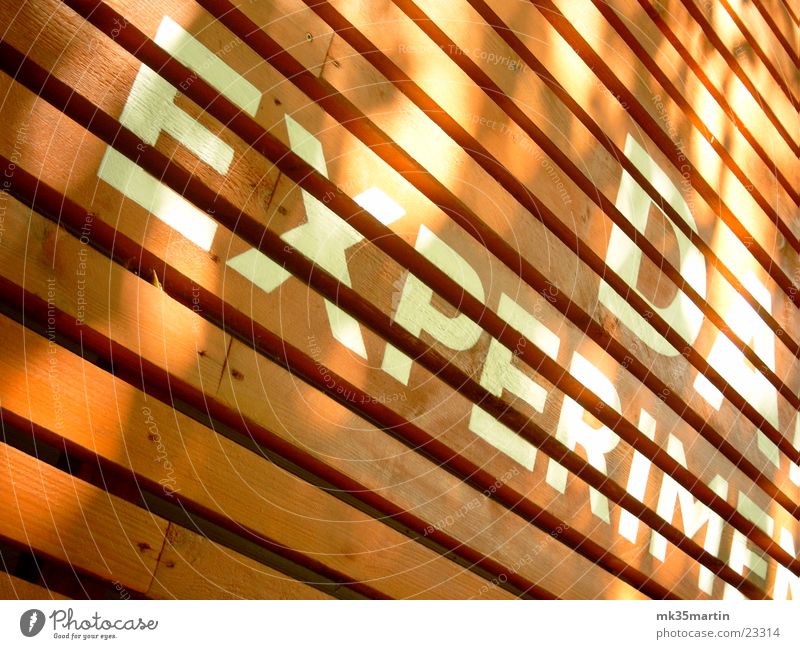 Darwin-Box Fassade Experiment Schriftzeichen Licht Streifen Architektur Holzbrett Schatten Linie verrückt