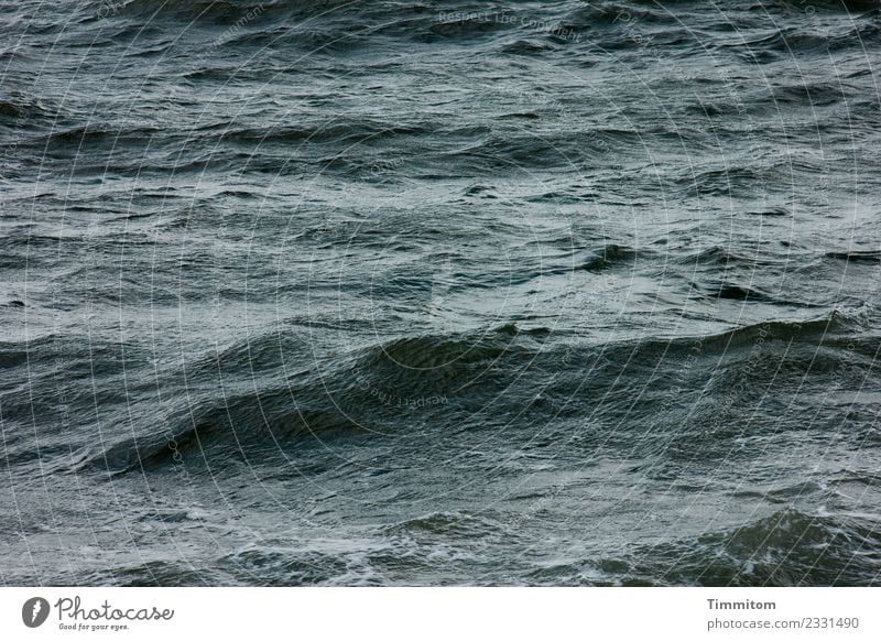 zeitlos | Wellengang Umwelt Natur Urelemente Wasser grün schwarz Gefühle Nordsee Dänemark Farbfoto Außenaufnahme Menschenleer Tag