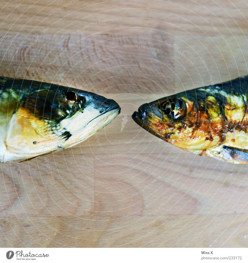 Bunte Bussis Lebensmittel Fisch Tier 2 gold Fischkopf Kopf geräuchert Forelle Makrele Schuppen Farbfoto mehrfarbig Nahaufnahme Detailaufnahme Menschenleer
