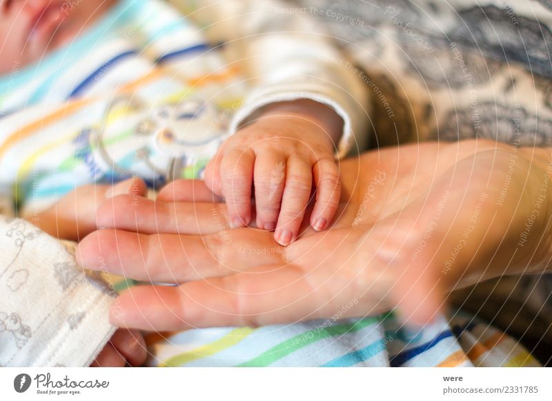 The hand of a newborn baby Mensch Baby Hand festhalten Wachstum Liebe Verantwortung Leben Farbfoto Innenaufnahme Detailaufnahme Textfreiraum oben