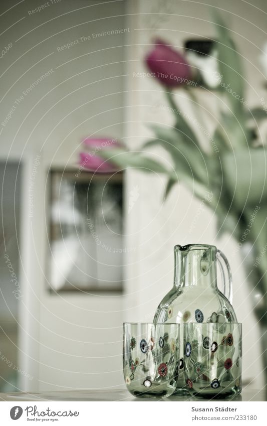 Ambiente Pflanze außergewöhnlich Glaskanne Tulpe Bild Blume Vase Theke Tür Warme Farbe Wasserglas Karaffen Häusliches Leben Dekoration & Verzierung gemütlich