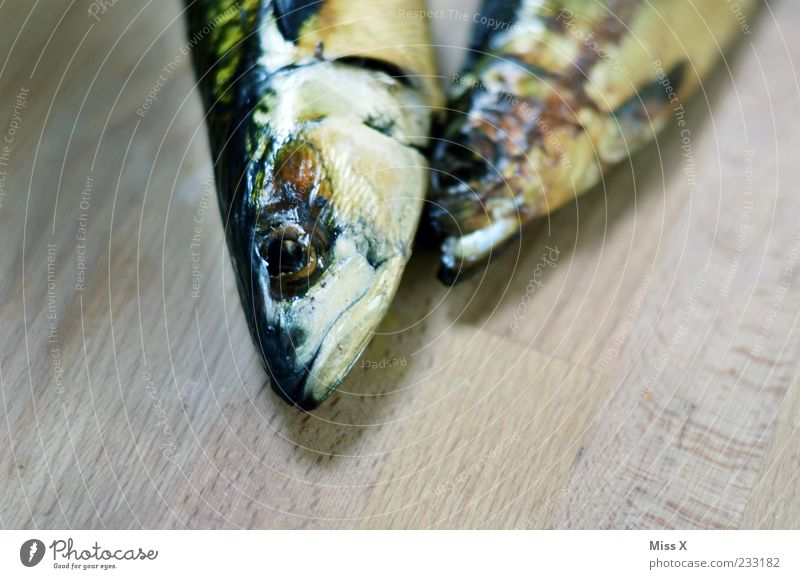 Kuscheln Lebensmittel Fisch Ernährung Schuppen 2 Tier kalt Forelle Makrele Fischkopf Holzbrett Tod Farbfoto Nahaufnahme Detailaufnahme Menschenleer