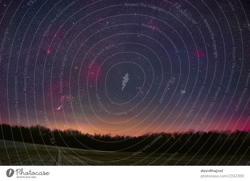 Winterhimmel Wissenschaften Raumfahrt Astronomie Kunstwerk Natur Landschaft Himmel Nachthimmel Stern Baum Wiese Feld Wald Hügel Galaxie Milchstrasse Orionnebel