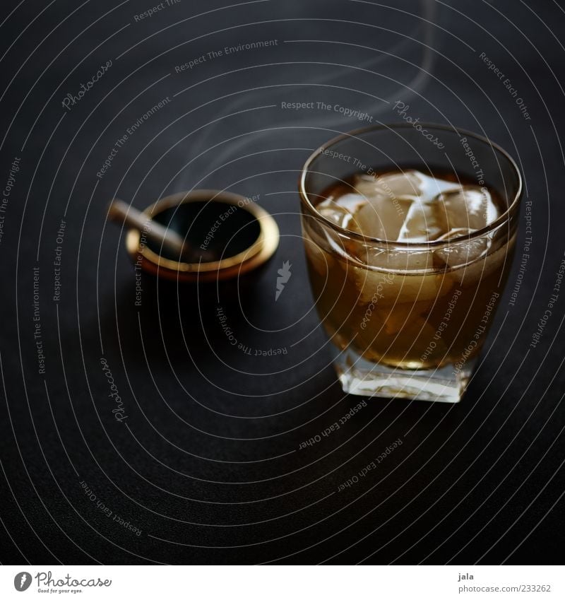 alles gute jo! ich stoße auf dich an! Getränk Alkohol Whiskey Whiskeyglas Glas Zigarette Aschenbecher Eiswürfel Sucht genießen Farbfoto Innenaufnahme