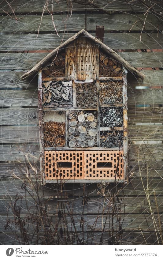 Insektenhotel hängt an Holzwand Umwelt Natur Winter Häusliches Leben überwintern Hotel Stein Nest Nestbau Überleben Haus Nistkasten Zufluchtsort Biologie
