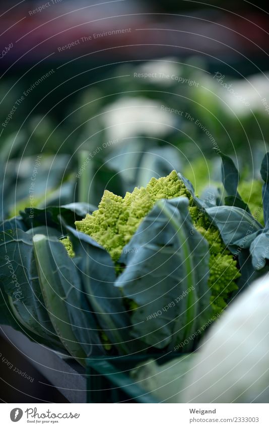 Gemüse Leben Pflanze Leidenschaft Fitness Bioprodukte kochen & garen Essen zubereiten Vegane Ernährung Vegetarische Ernährung Blumenkohl Romanesco Markt