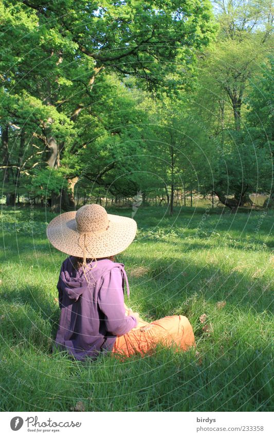 Frau mit Strohut sitzt auf einer Waldlichtung feminin Wiese Schönes Wetter Romantik Frühlingstag Strohhut genießen Entspannung Stil Glück ruhig Duft Natur
