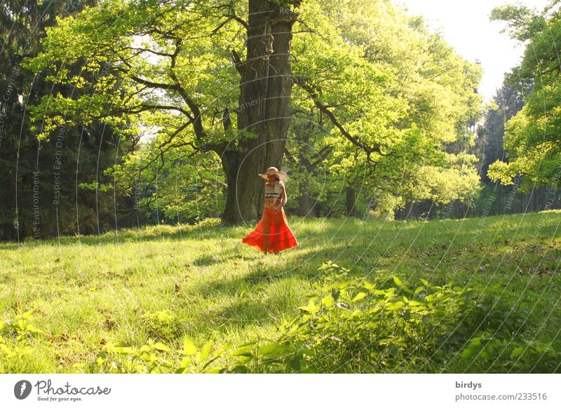 Lustwandeln elegant Freude feminin Junge Frau Jugendliche 1 Mensch Natur Frühling Sommer Schönes Wetter Baum Park Wiese Rock Hut gehen genießen leuchten träumen